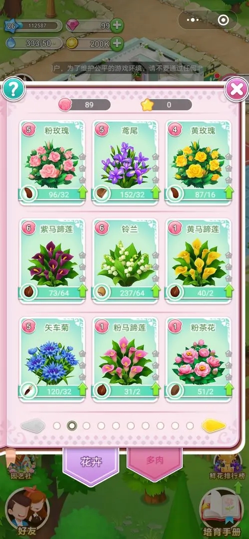 鲜花小镇2025