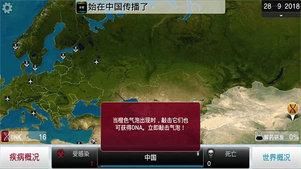 细菌公司