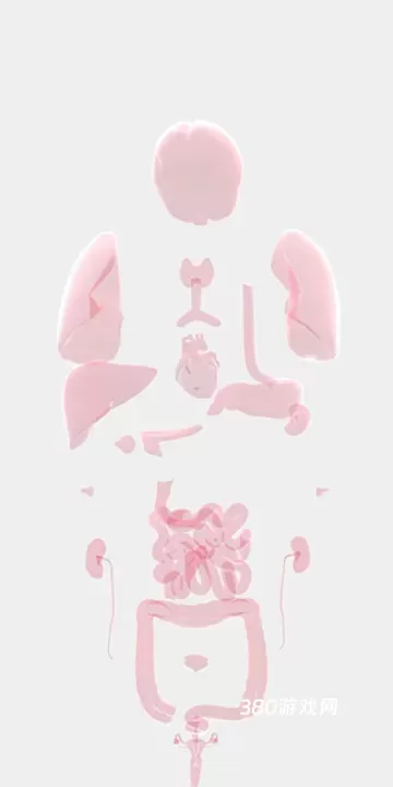 生命人体模拟器Life_https://www.380yx.com_休闲益智_第4张