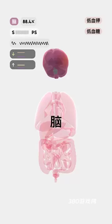 生命人体模拟器Life_https://www.380yx.com_休闲益智_第6张