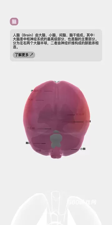 生命人体模拟器Life_https://www.380yx.com_休闲益智_第7张